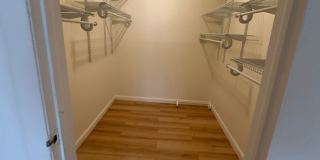 University Park Gallery 335