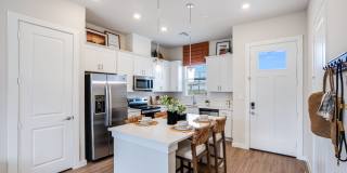 Yardly Elm Gallery 15