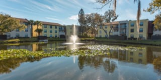 Belara Lakes Gallery 31
