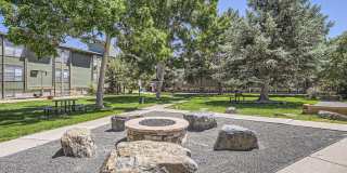 Village Green Gallery 19