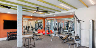 Ellison at The Exchange Gallery 11