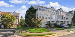 6239 FROSTY WINTER Court Gallery 1