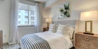 Pearl at Flagler Village Gallery 4