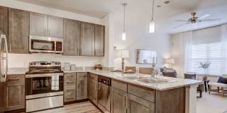 The Emerson at Forney Marketplace Gallery 1