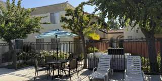 Villa Del Sol Gallery 5