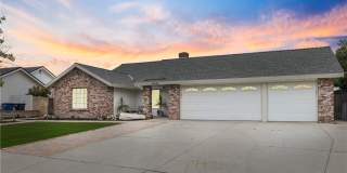 25475 Nicks Gallery 1