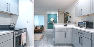 Cynthia Gardens Gallery 4