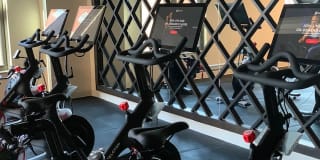 Avec on H Street Gallery 4