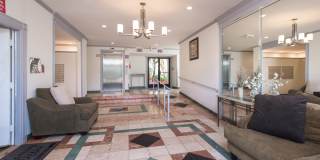 Tarzana Springs Gallery 2