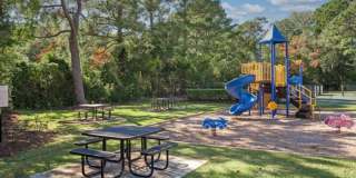 The Preserve at Pine Valley Gallery 24