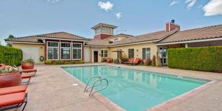 The Vintage Gallery 19