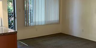 Port Au Fina (Saratoga Ave.) Gallery 4