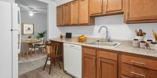 Hamilton Springs Gallery 3