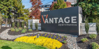 The Vantage Apartments Gallery 43