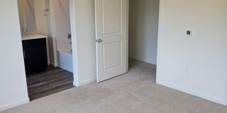 New Construction! Gallery 4
