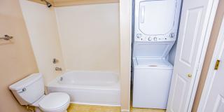 1 Bed 1 Bath Condo in Capitol Hill Gallery 12