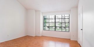 Light Filled 3-Story Townhome in Pool Community Gallery 11