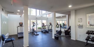 Sedona Ranch Gallery 15