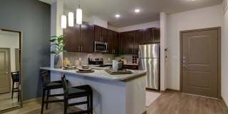 Park at Rialto Gallery 15