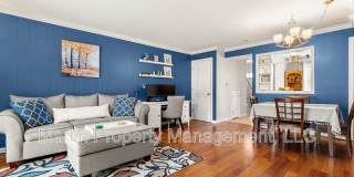 1107 Windsor Drive Gallery 5