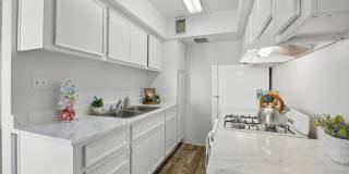 Madera at Metro Gallery 14