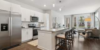 Ascend at Carlton Gallery 1