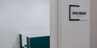 Regius Square Gallery 51