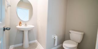 9831 LEMON DROP Loop Gallery 22
