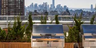 The Dylan The Dylan Gallery 36