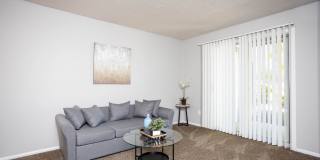 Available now, in Dublin City Schools! Gallery 30