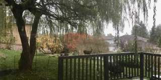 6904 54th Pl Ne Gallery 23