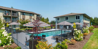 Terra Apartments Gallery 16