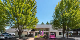 Whimsical Pig Gallery 6