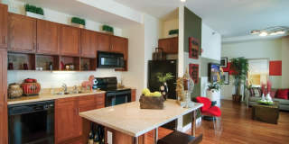 63 E Lake Gallery 3