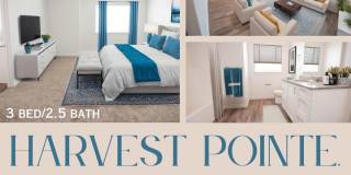 Harvest Pointe Townhomes Gallery 2