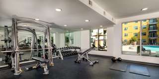 Aston at Gateway Gallery 22