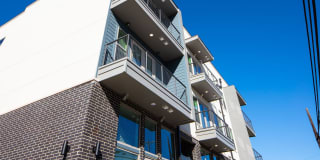 Magnolia on Zang Two Gallery 49