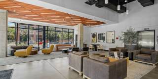 The Olive The Olive Gallery 2