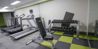 Emily Dickinson Gallery 25