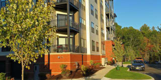 Excelsior Park Gallery 8