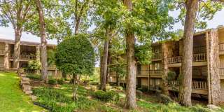 Woodland Terrace Gallery 49