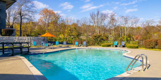 The Nelson Gallery 20