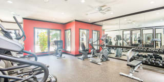 Derby at Steeplechase Gallery 8