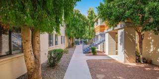 Palm Desert Gallery 20