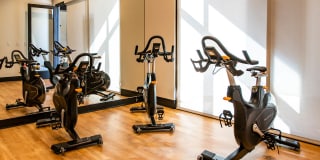 Residences at Galleria Gallery 31