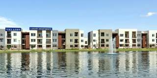 Velaire at Aspera Gallery 3