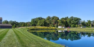 Steeplechase at Parkview Gallery 25