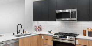 Orlo & Alba Gallery 51