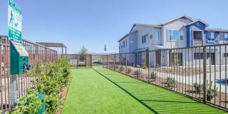 The Overlook at Los Patrones Gallery 10