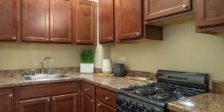 The Flamingo Gallery 6